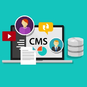 چگونه می توان سیستم مدیریت محتوای سایت cms را تشخیص داد؟